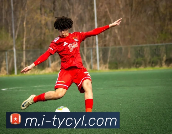 太阳城网站平台生态图