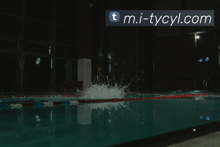 太阳城网站APP 封面图